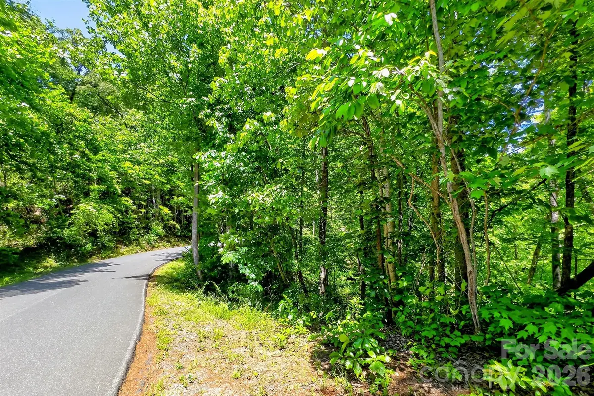 999 Justice Drive, Lake Lure, NC 28746 - #1