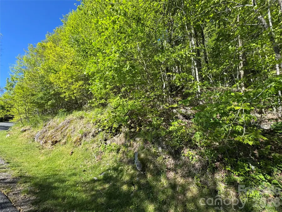 21 Overlook Drive #21/23, Mars Hill, NC 28754 - #3
