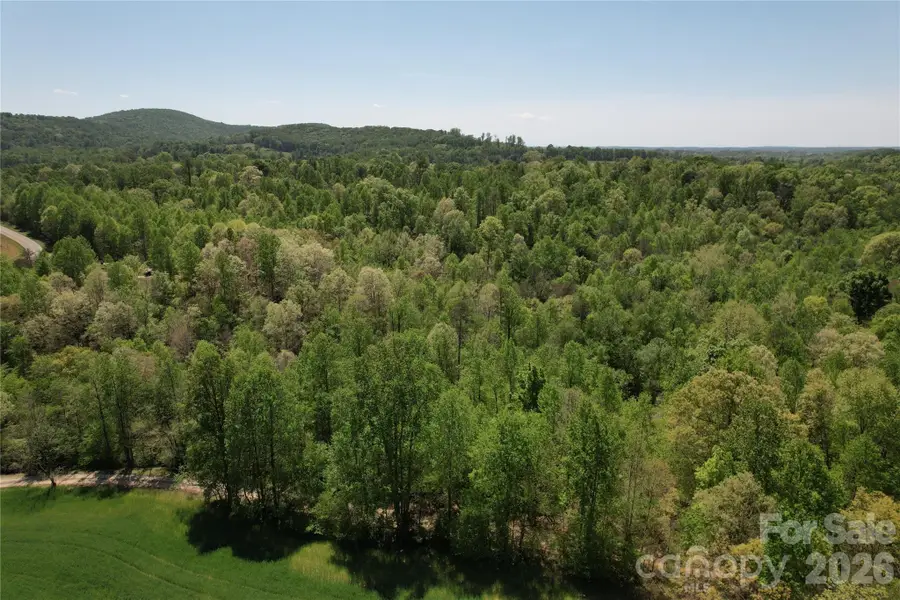 06 Hopewell Church Road #6, Hiddenite, NC 28636 - #3