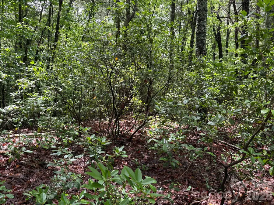 197 Fox Hollow Circle #28, Otto, NC 28763 - #2