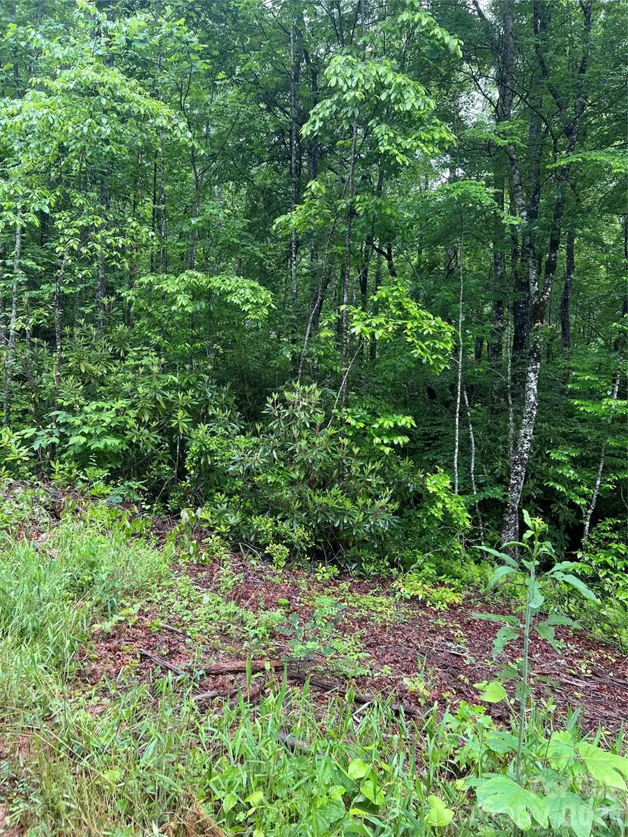 Address Withheld By Seller, Sylva, NC 28779 - #3