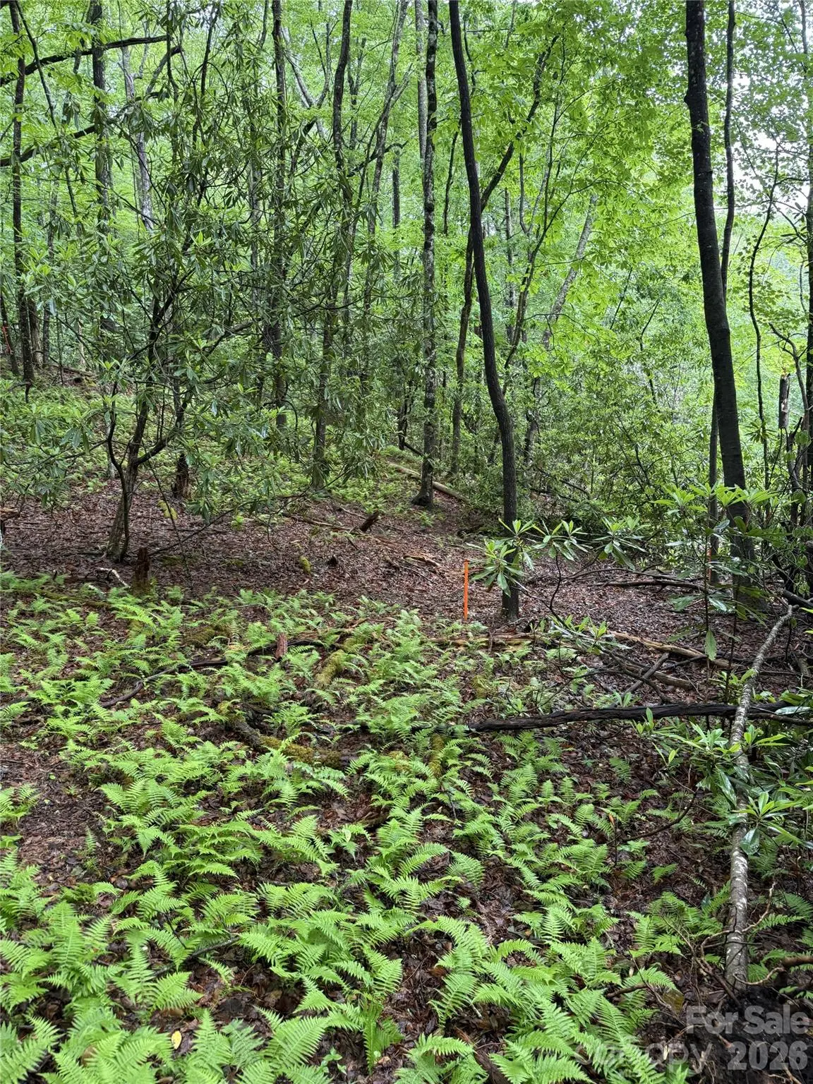 Lot 68 Cherrywood Lane, Pisgah Forest, NC 28768 - #1