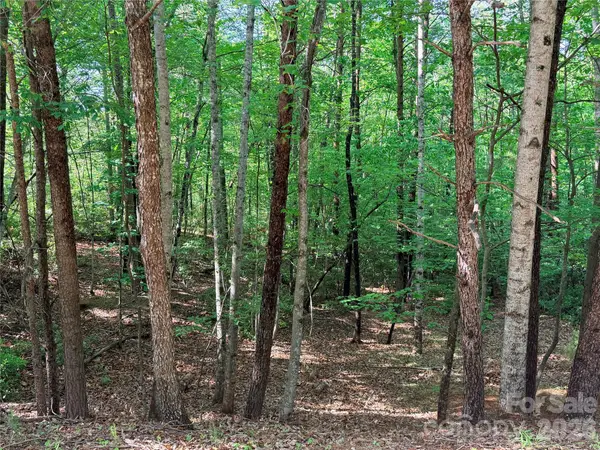 0 Mcdaniel Court, Lake Lure, NC 28746
