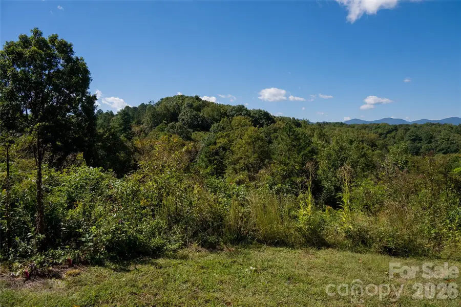 68 Sweet Fern Parkway, Asheville, NC 28804 - #2