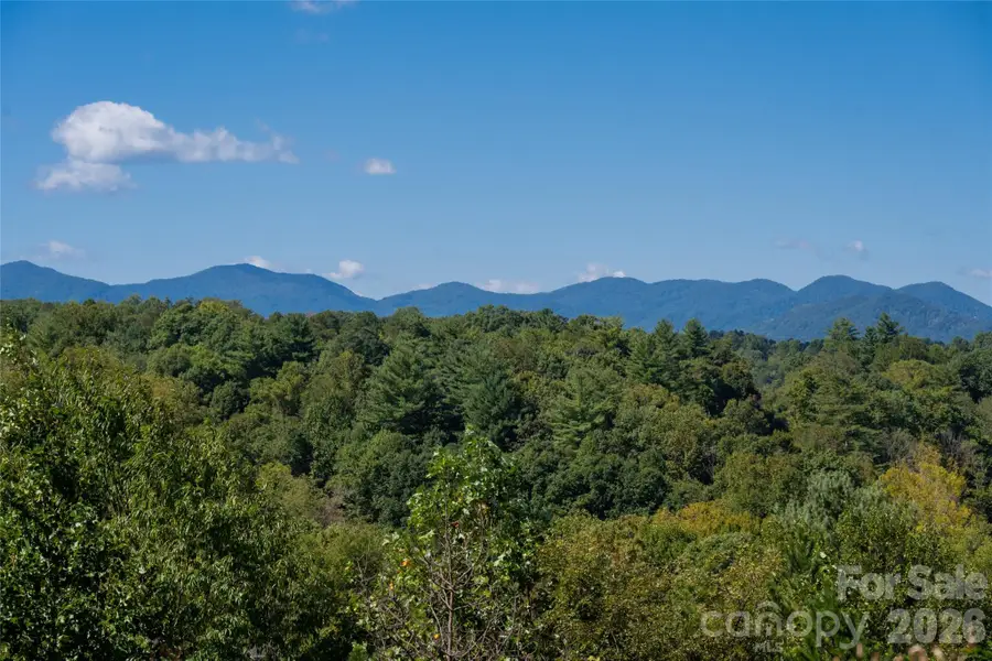 68 Sweet Fern Parkway, Asheville, NC 28804 - #3