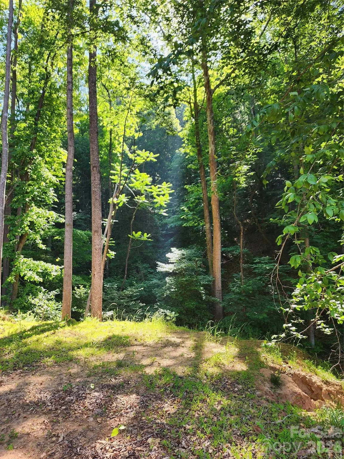 TBD Boone Gap Lane, Taylorsville, NC 28681 - #1