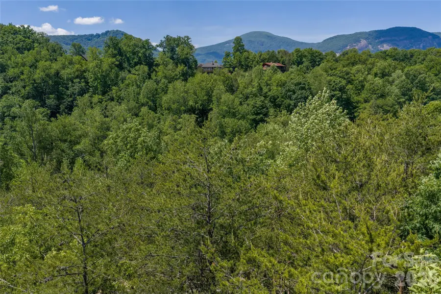 0000 View Trail, Lake Lure, NC 28746 - #3