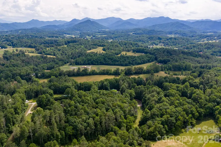 99999 Paramount Drive, Leicester, NC 28748 - #2