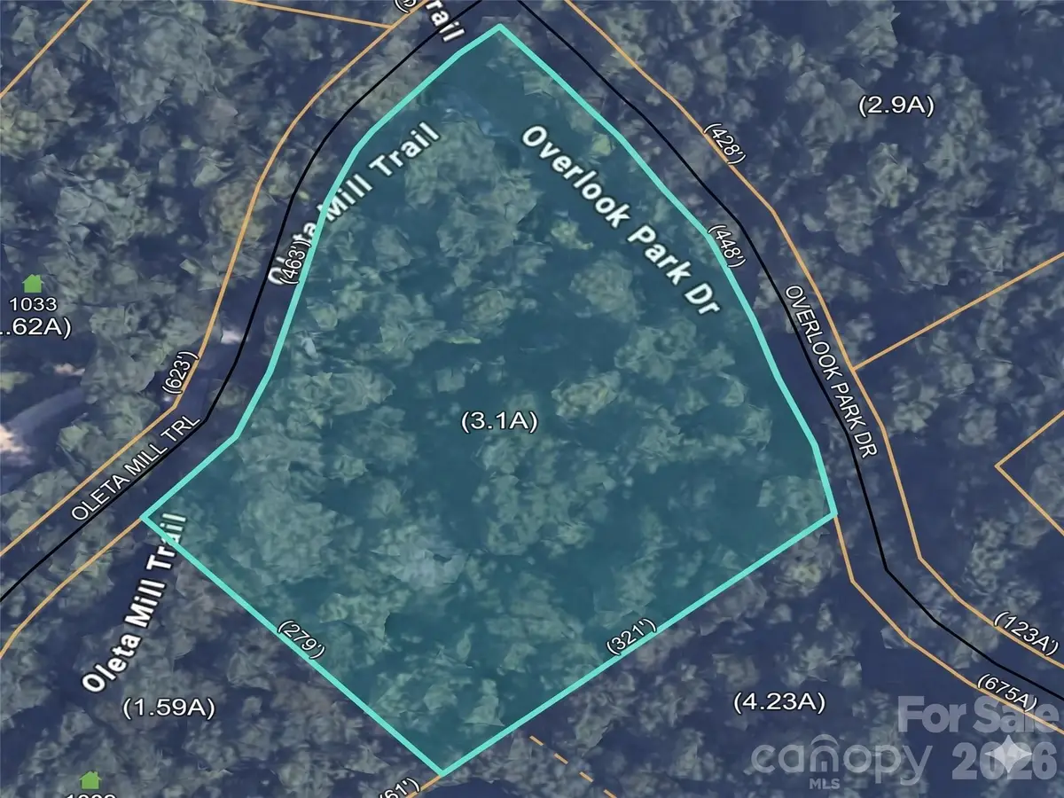 1034 Oleta Mill Trail #49, Hendersonville, NC 28792 - #1
