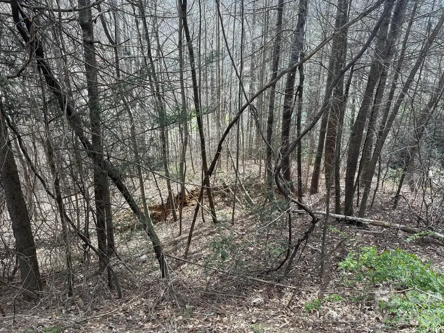 0 Tuckaway Ridge Drive, Hendersonville, NC 28792 - #3
