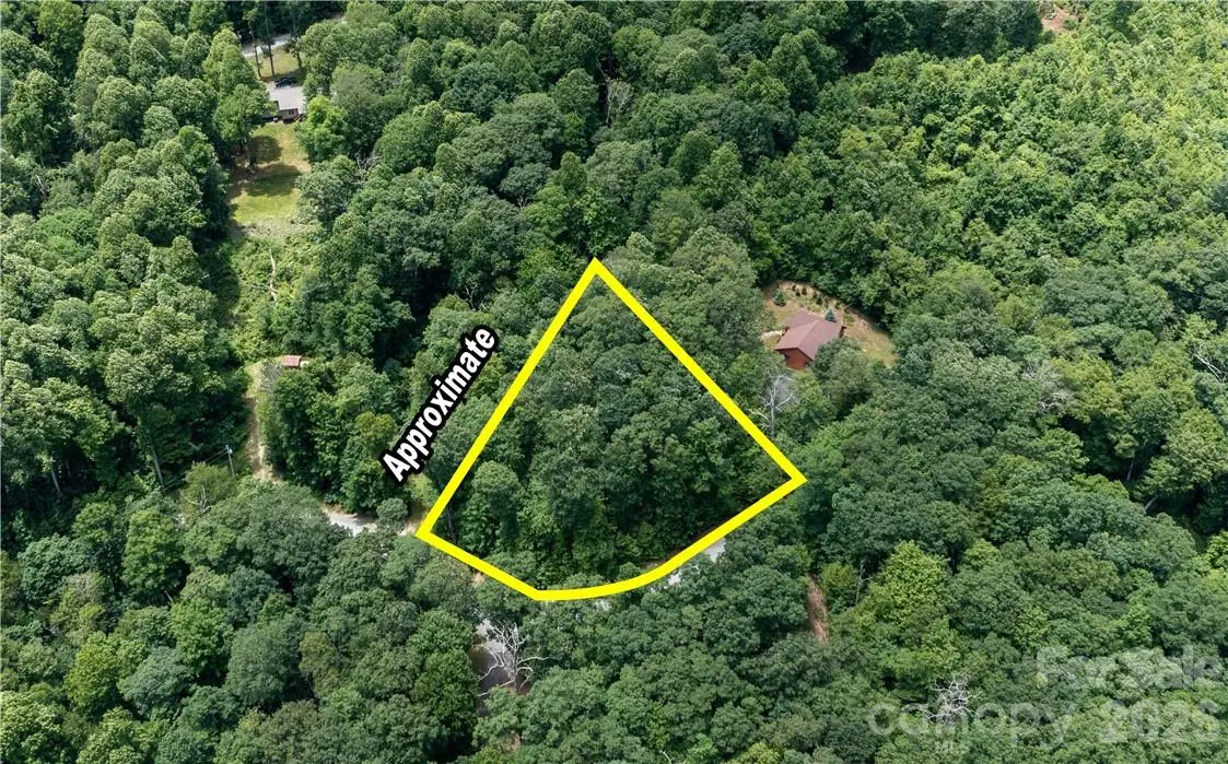 L-36 Saint Moritz Lane #Lot 36, Grassy Creek, NC 28749 - #1
