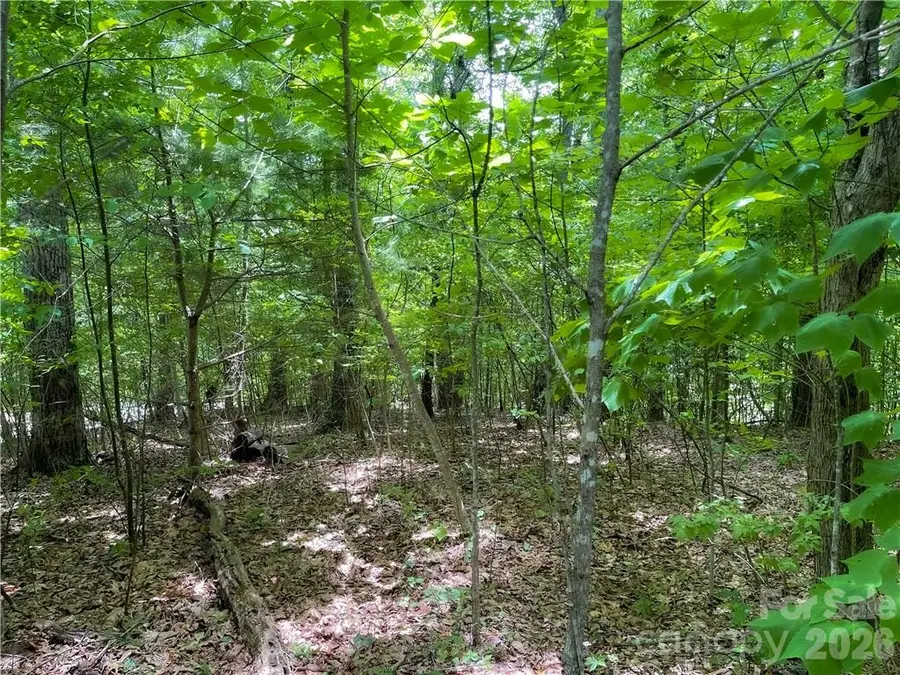 L-36 Saint Moritz Lane #Lot 36, Grassy Creek, NC 28749 - #3