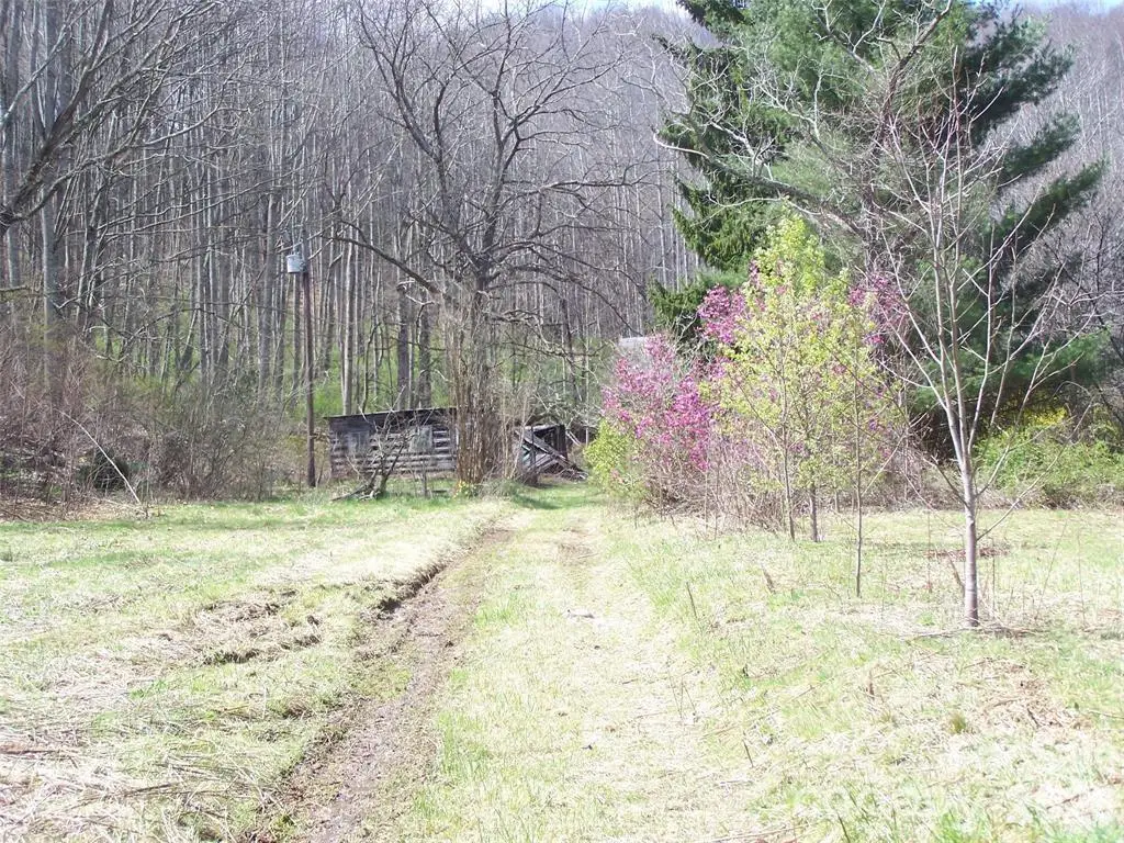 58 Collier Lane, Waynesville, NC 28786 - #1