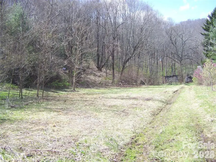 58 Collier Lane, Waynesville, NC 28786 - #3