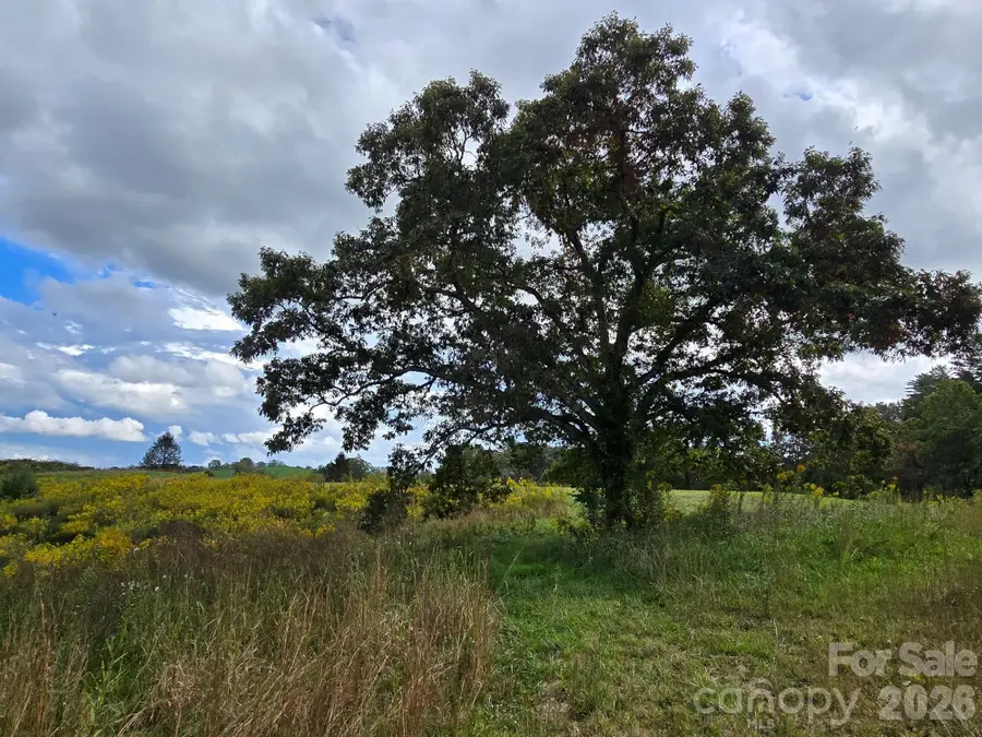 128 Cook Lane #(25 Acres), Mills River, NC 28759 - #3