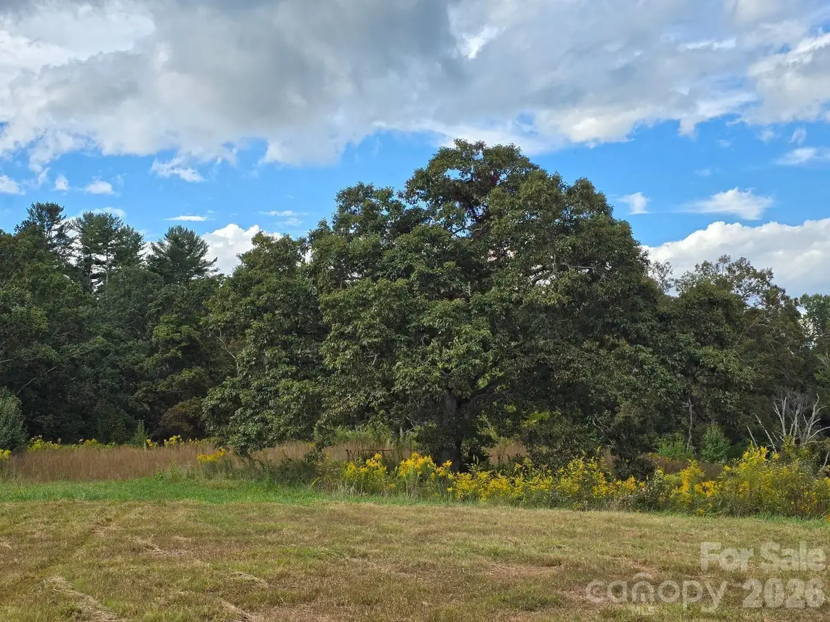 000 Cook Lane #24.87 Acres, Mills River, NC 28759 - #1