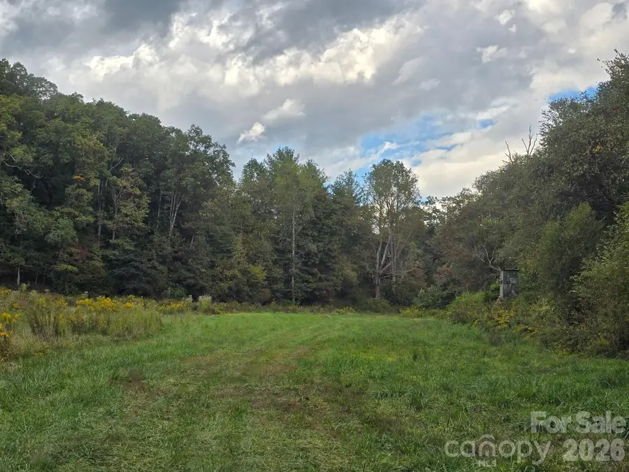 000 Cook Lane #24.87 Acres, Mills River, NC 28759 - #2