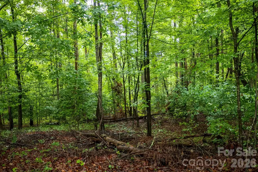 1225 Moss Road, Rutherfordton, NC 28139 - #2