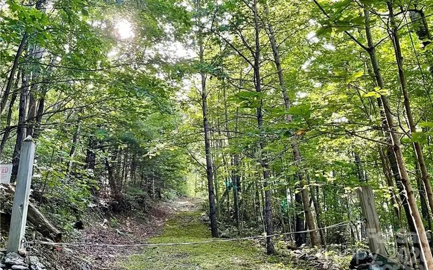 1662 Penley Road, Lenoir, NC 28645 - #1