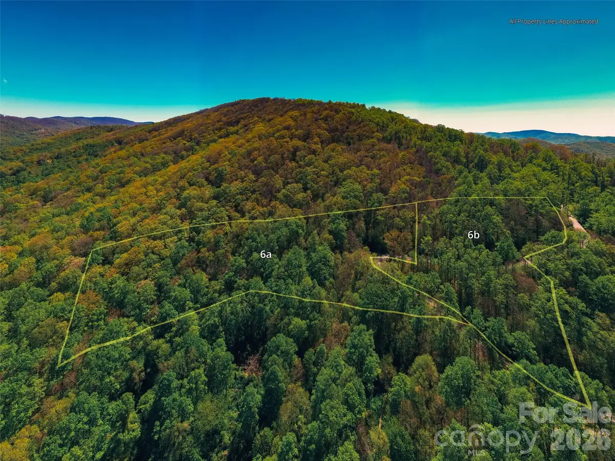 58 & 64 Flora Rose Trail #6A & 6B, Asheville, NC 28803 - #1