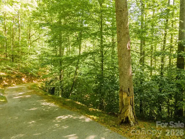52 Morningside Drive #52, Tuckasegee, NC 28783