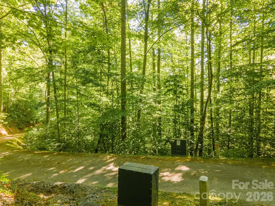 52 Morningside Drive #52, Tuckasegee, NC 28783 - #2