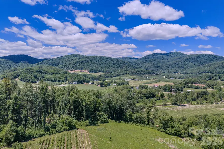 00 Woodlyn Etch Drive, Hendersonville, NC 28792 - #2