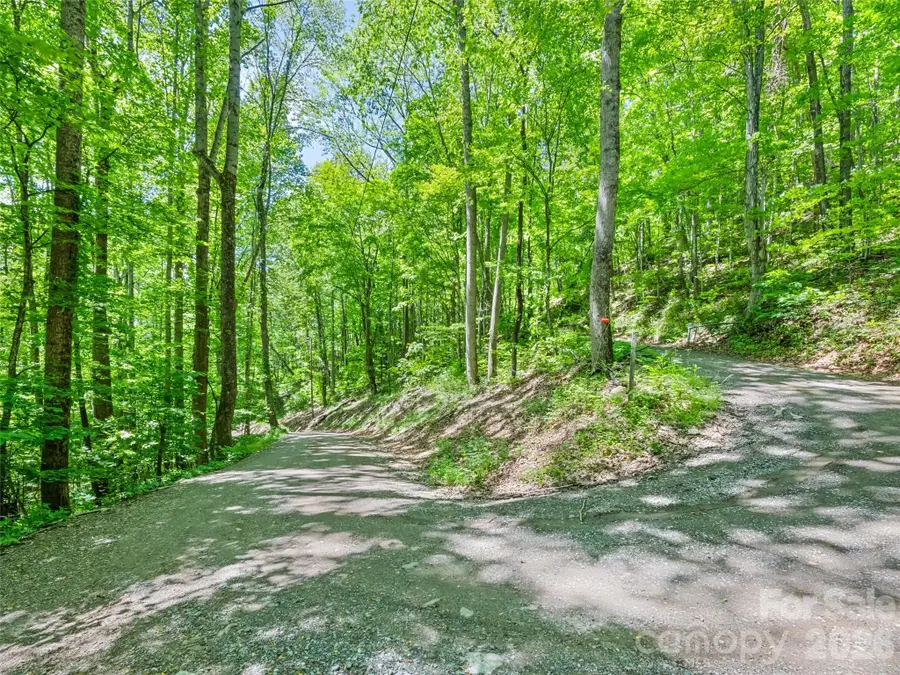 00 Rustic Road, Waynesville, NC 28786 - #3