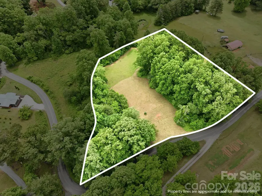 TBD Tract C Pole Miller Extension #Tract C, Brevard, NC 28712 - #3