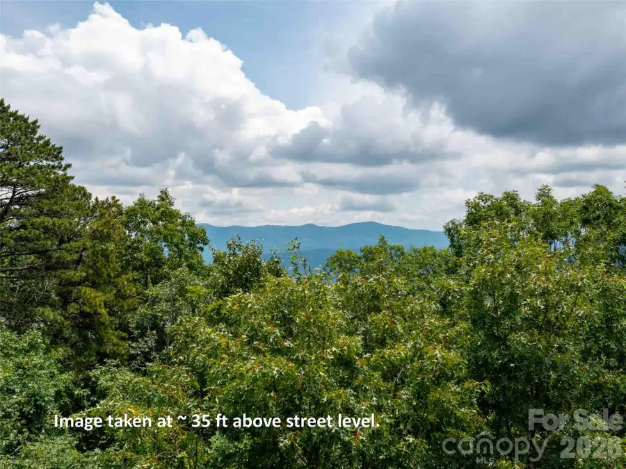 288 Eastman Place, Mill Spring, NC 28756 - #3