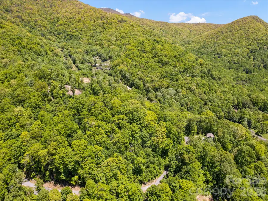 00 Triple Creek Drive #43, Clyde, NC 28721 - #3