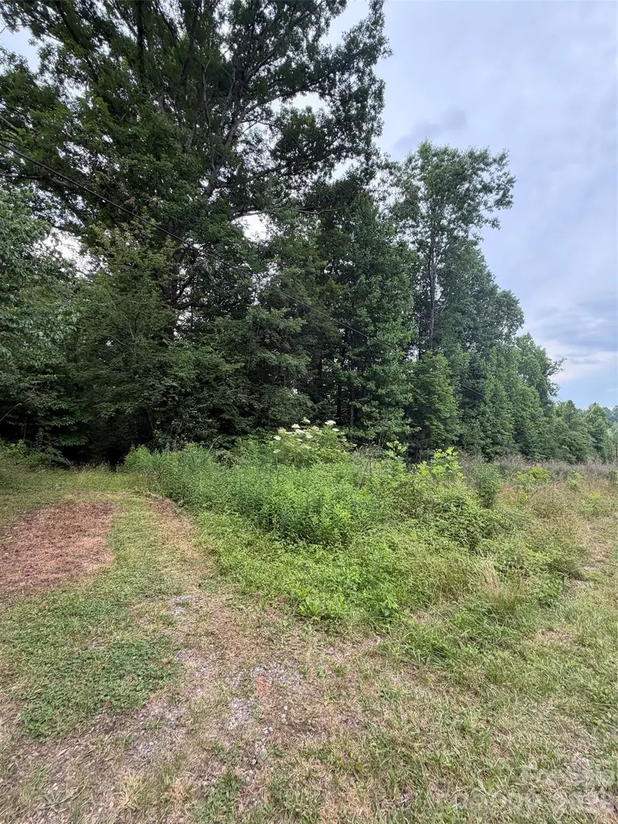 Lot 1 Parker Padgett Road, Old Fort, NC 28762 - #3