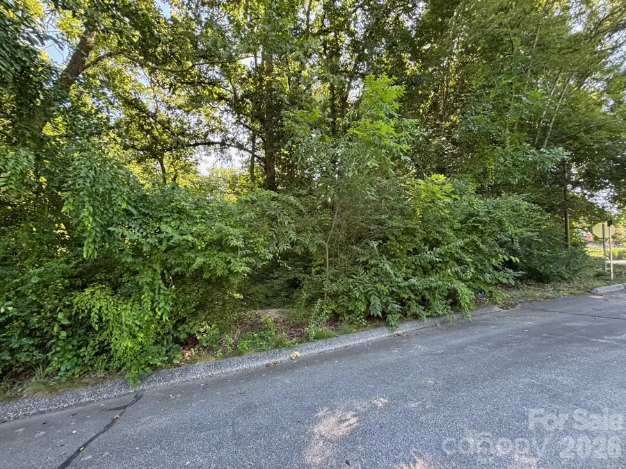 V/L Woodland Drive #1, Marion, NC 28752 - #3