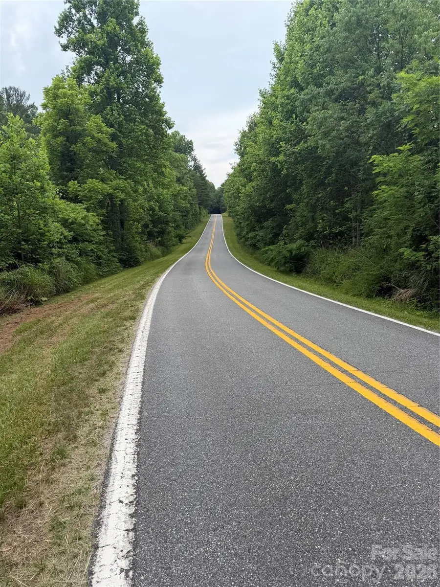 Lot 2 Parker Padgett Road, Old Fort, NC 28762 - #3