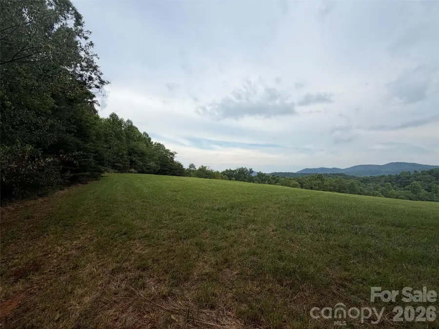 Lot 7 Parker Padgett Road, Old Fort, NC 28762 - #3
