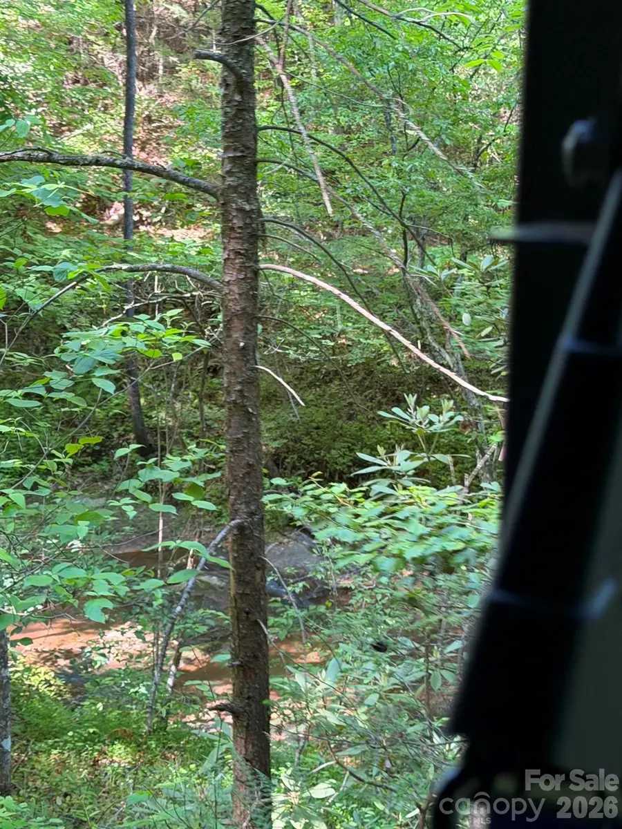 Lot 8 Parker Padgett Road, Old Fort, NC 28762 - #3