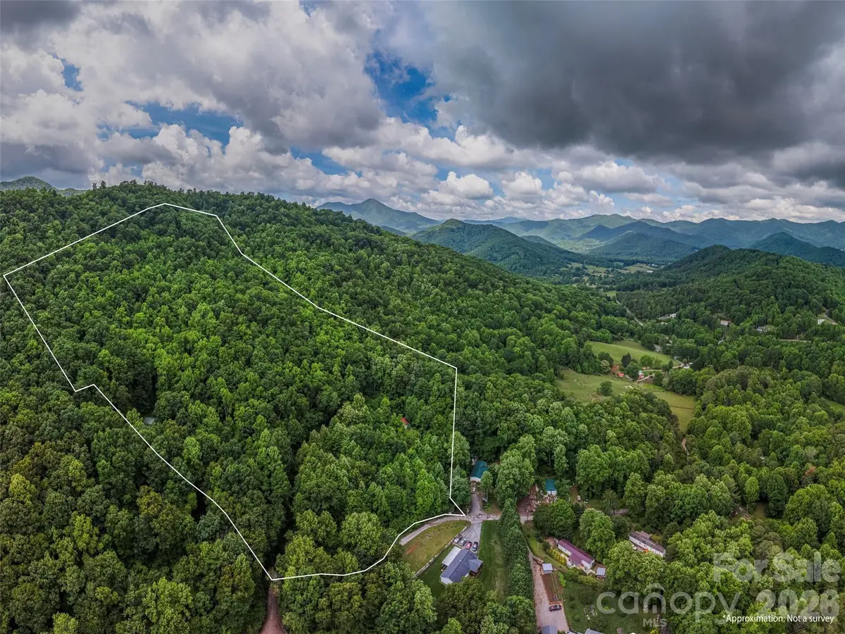 68 Long Ridge Road, Candler, NC 28715 - #1