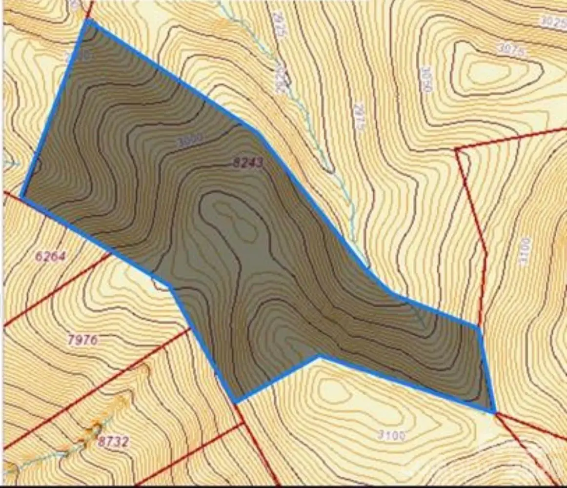 99999-24 Nesbitt Chapel Road, Fairview, NC 28730 - #1