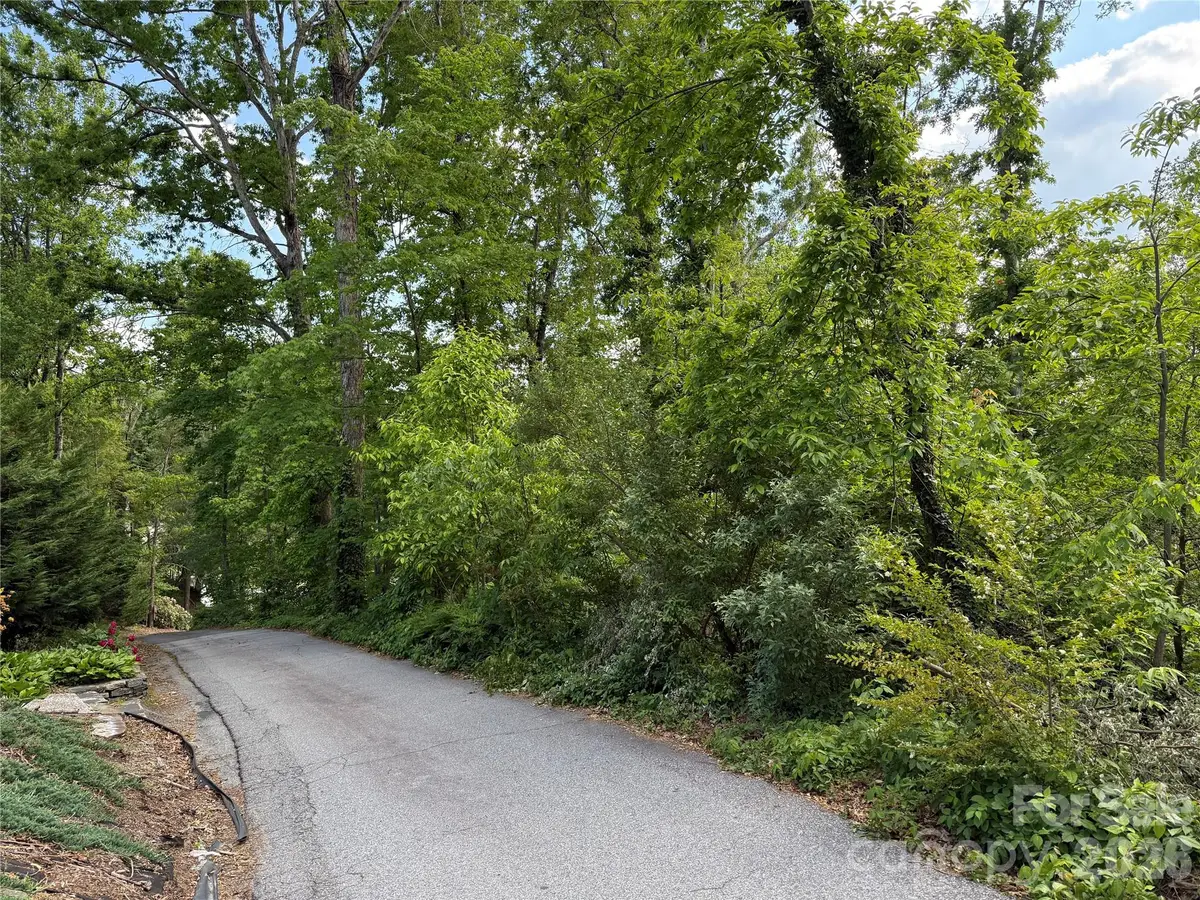53 Will Road #2, Hendersonville, NC 28792 - #1