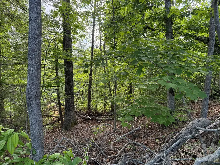 53 Will Road #2, Hendersonville, NC 28792 - #3