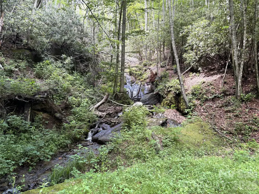 000 Valley View Drive, Maggie Valley, NC 28751 - #2