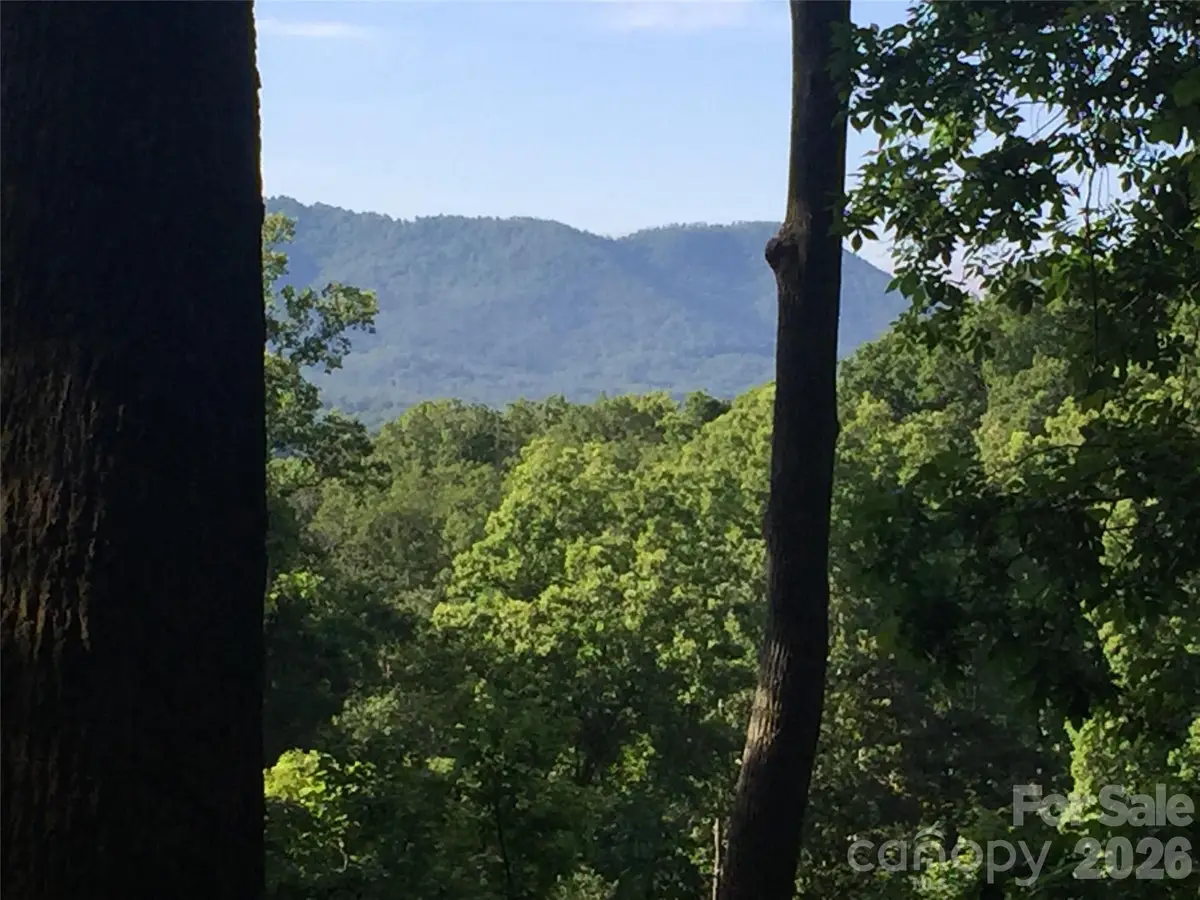 20 Lagrange Drive, Asheville, NC 28805 - #1