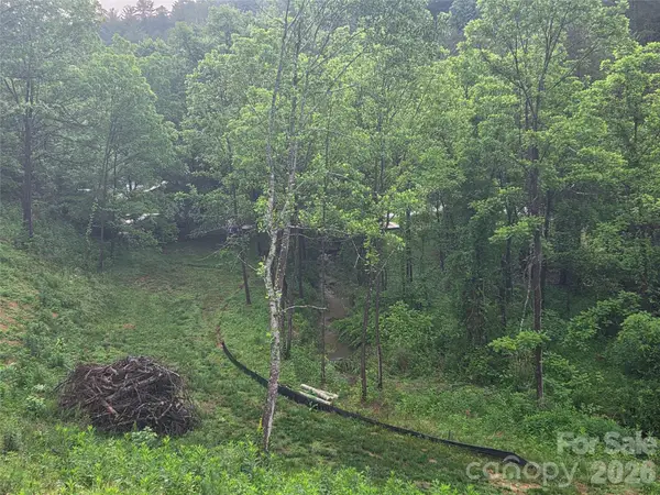 374 Big Branch Drive #Lot 2 D, Mars Hill, NC 28754
