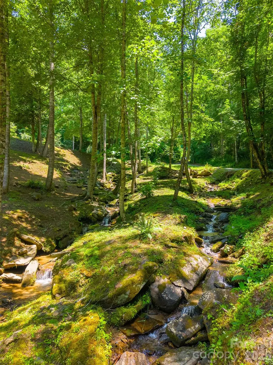 77 Pigeon Creek Trail, Bryson City, NC 28713 - #3