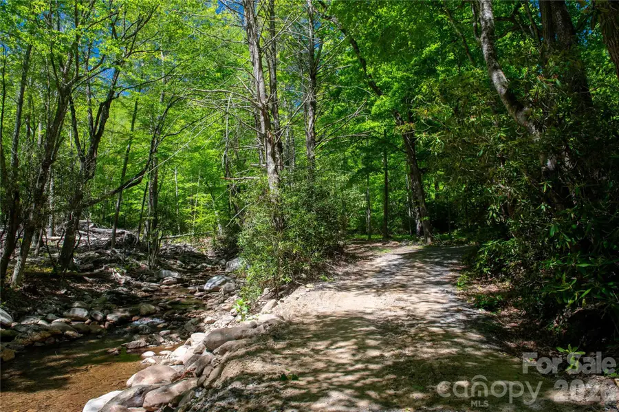 152 Middle Creek Cove, Burnsville, NC 28714 - #2