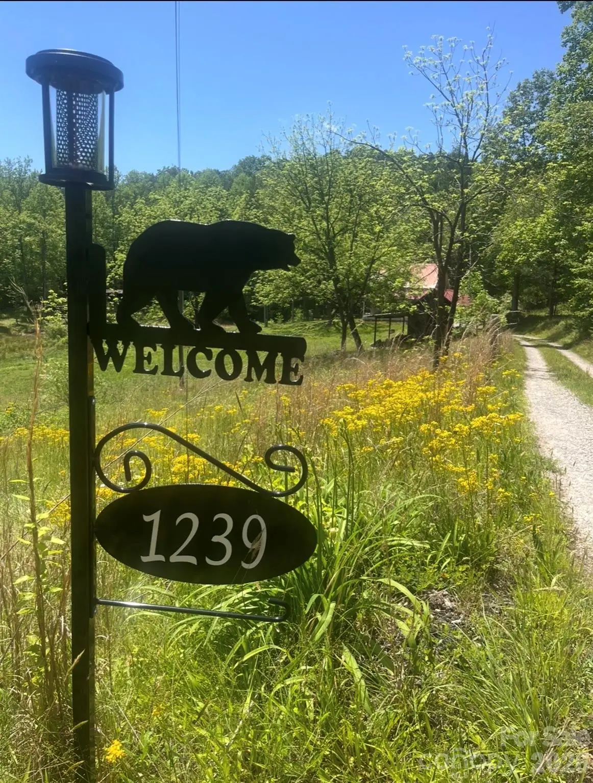 1239 W Mcguinn Road, Mill Spring, NC 28756 - #1