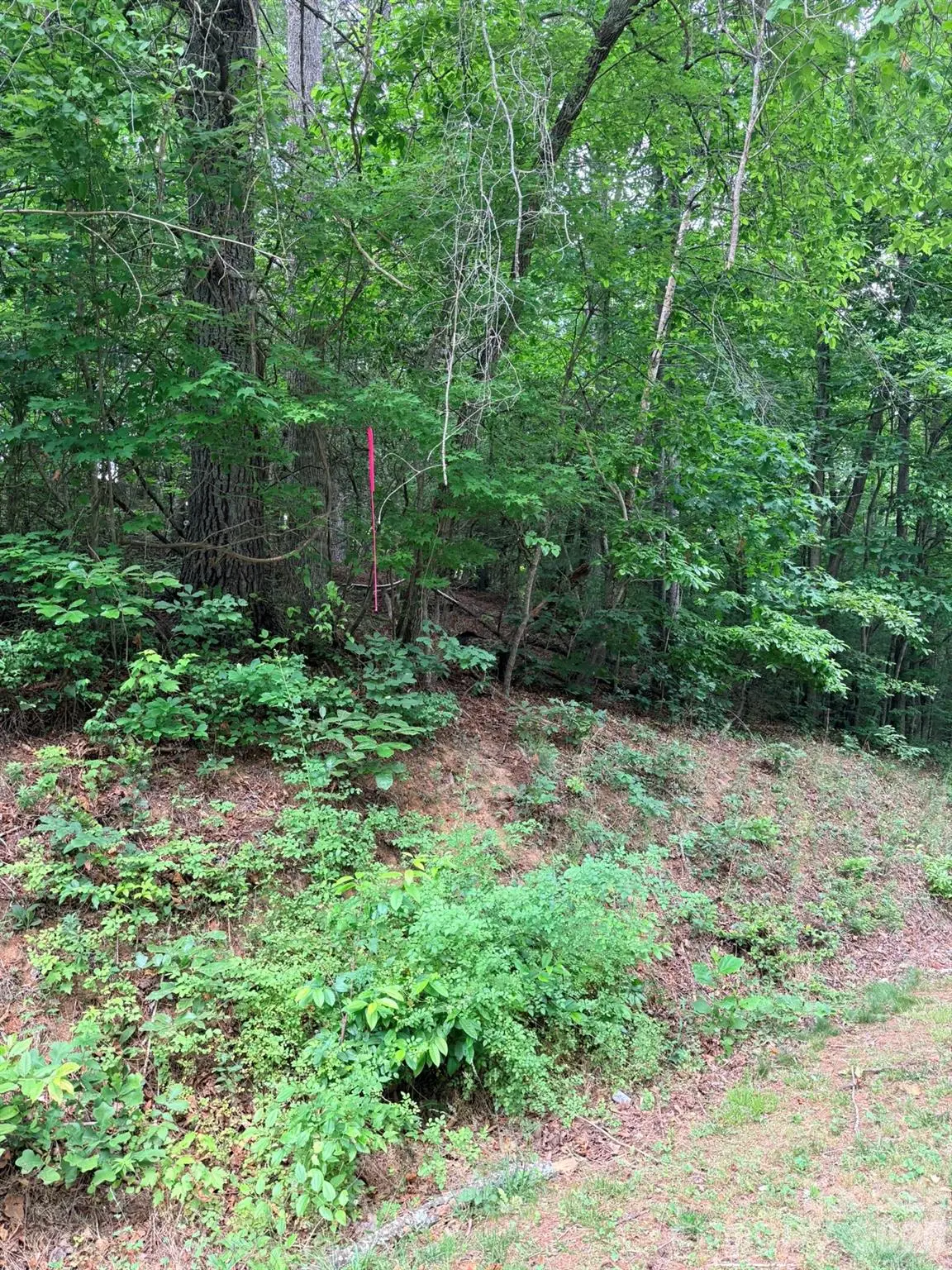 TBD N Marley Ford Road, Ferguson, NC 28624 - #1