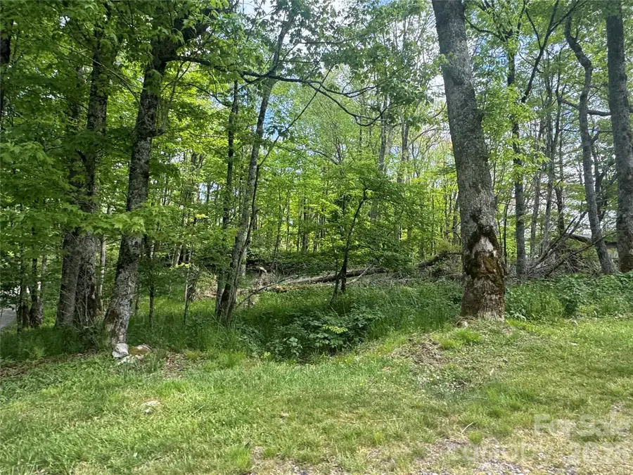 1026 Wolfs Head Court, Mars Hill, NC 28754 - #2