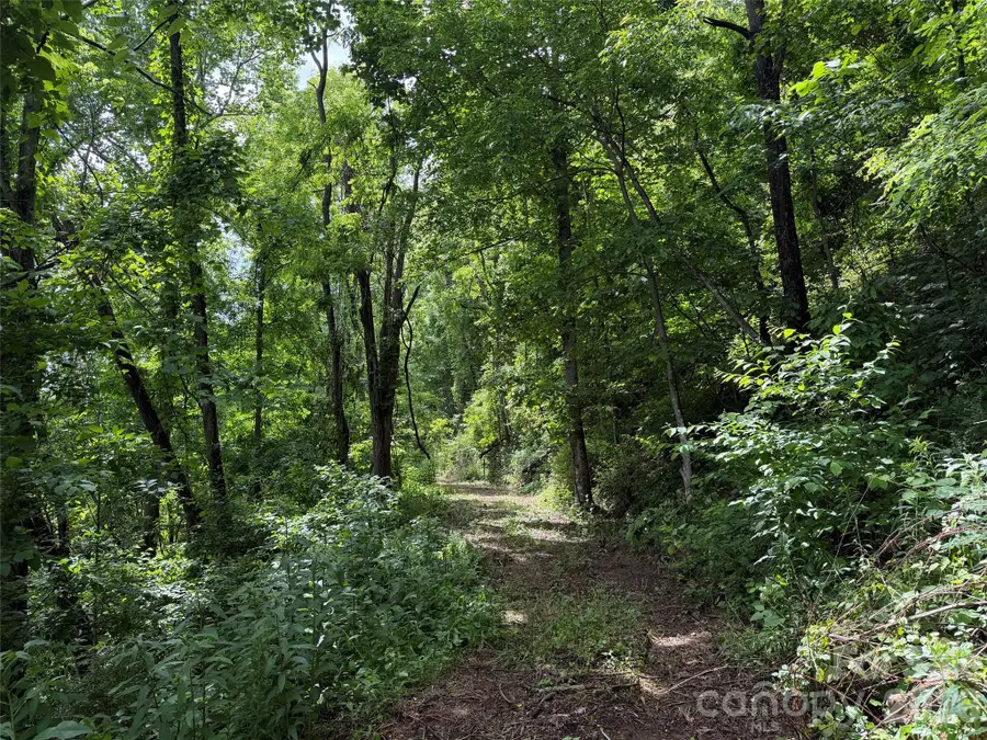 00 Panorama Drive #17, Waynesville, NC 28786 - #3
