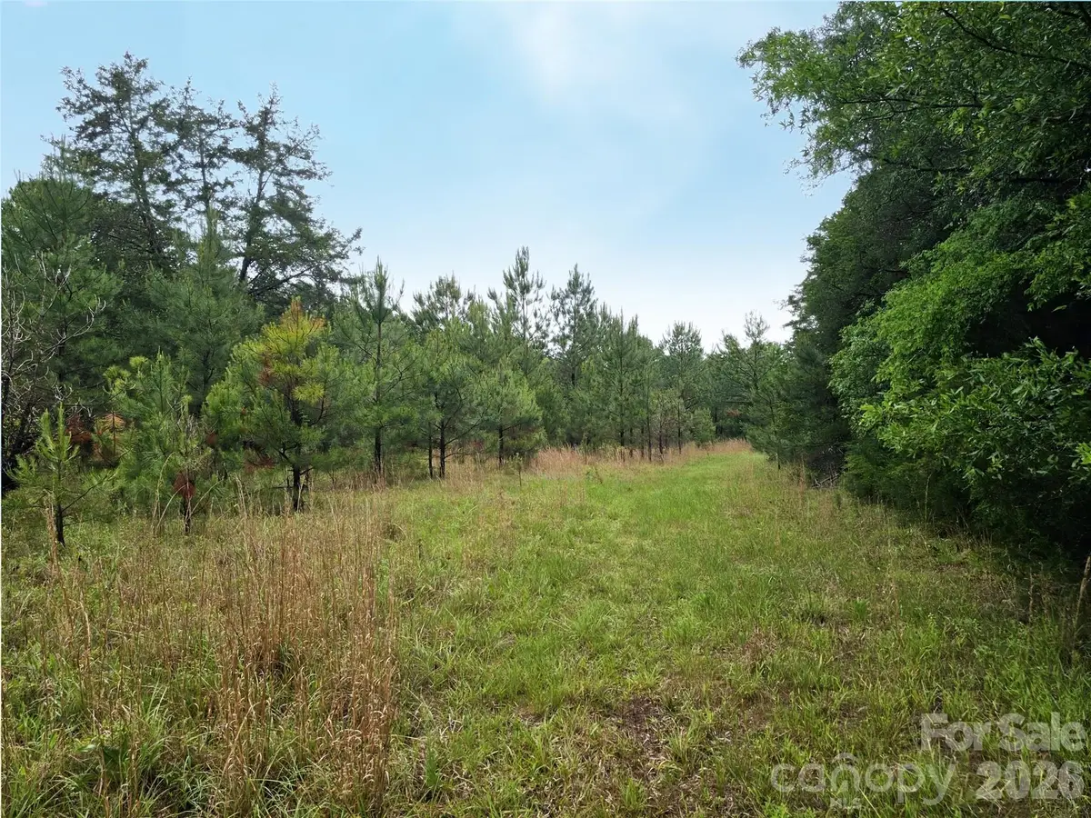 0000 Shirley Road, Fort Lawn, SC 29714 - #1
